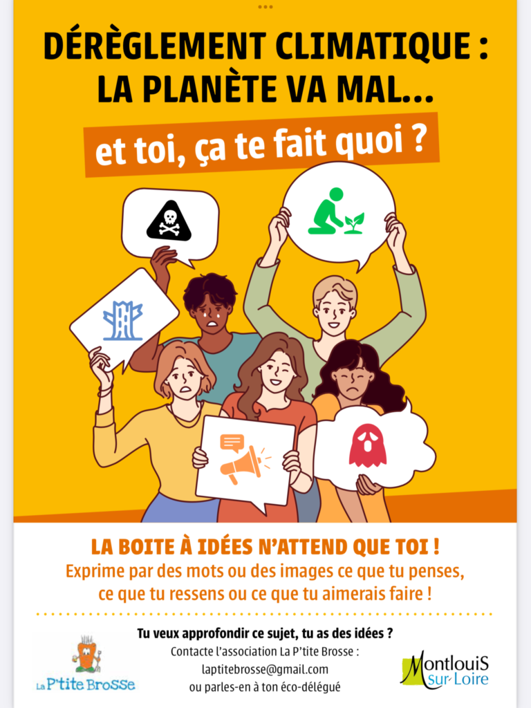 Projet avec les éco-délégués du collège Raoul Rebout