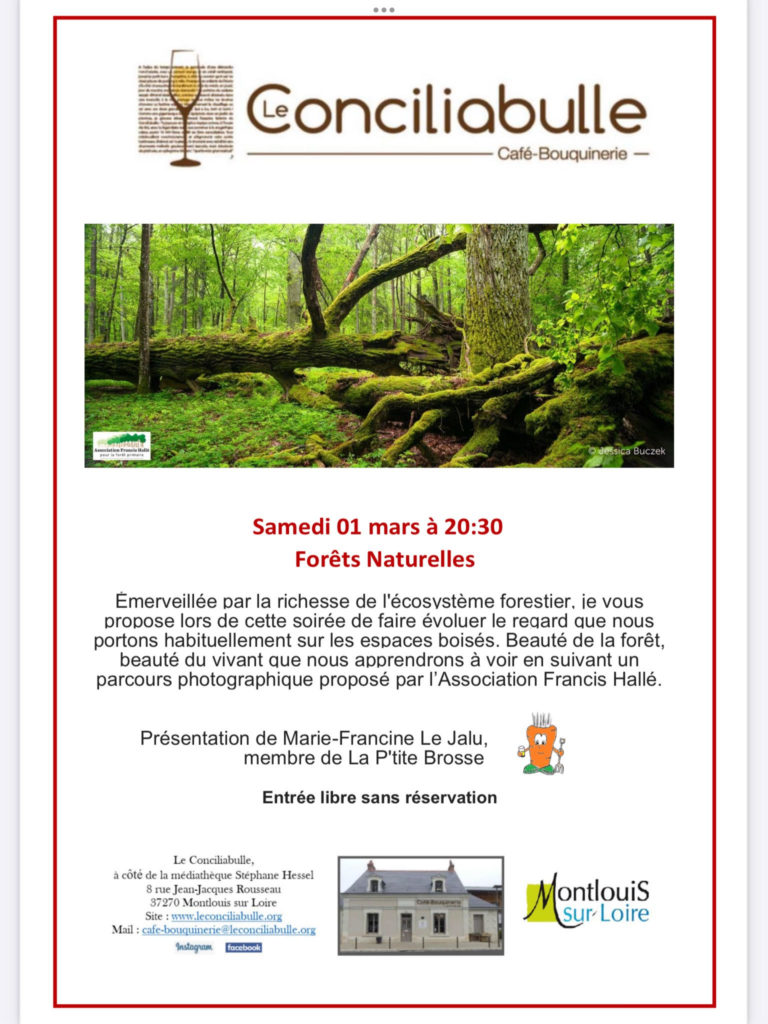 conférence forêts naturelles