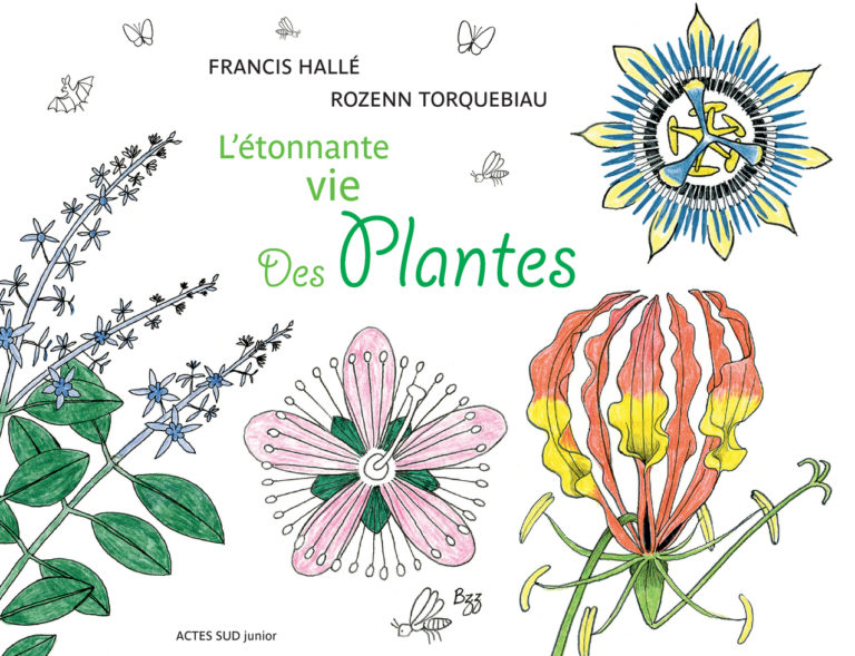 L’étonnante vie des plantes