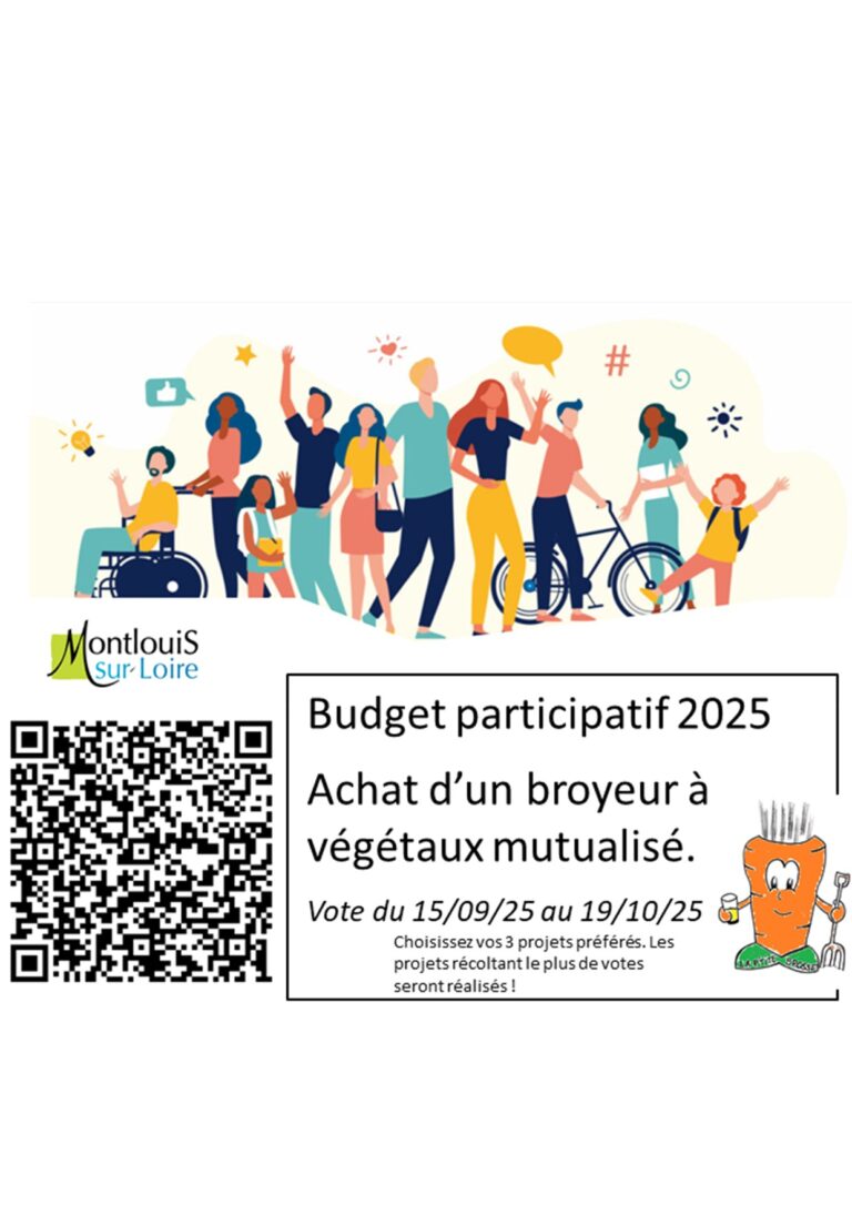 Vote au budget participatif de la ville. C’est parti!