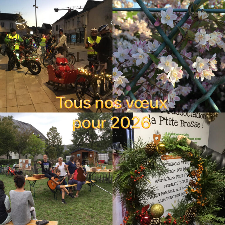 Tous nos voeux pour l&rsquo;année 2026